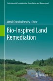 Bio-Inspired Land Remediation (eBook, PDF)