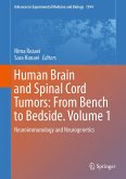 Human Brain and Spinal Cord Tumors: From Bench to Bedside. Volume 1 (eBook, PDF)