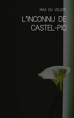 L’inconnu de Castel-Pic (eBook, ePUB) - du Veuzit, Max
