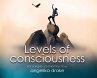 Levels of Consciousness - Bild 1