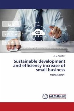 Sustainable development and efficiency increase of small business
