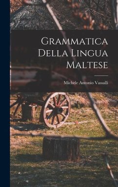 Grammatica Della Lingua Maltese - Vassalli, Michele Antonio