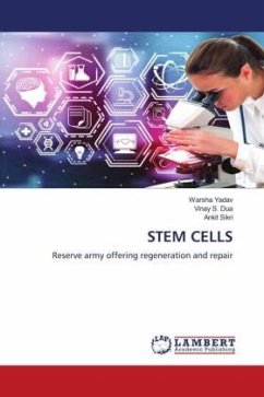 STEM CELLS