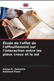 Étude de l'effet de l'affouillement sur l'interaction entre les pieux creux et le sol