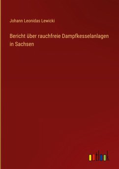 Bericht über rauchfreie Dampfkesselanlagen in Sachsen - Lewicki, Johann Leonidas