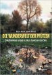 Die Wunderwelt der Pfützen (eBook, PDF) - Bild 1