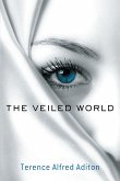 The Veiled World (eBook, ePUB)