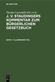 Allgemeiner Teil (eBook, PDF)