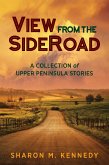 View from the SideRoad (eBook, ePUB)