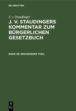 Cover Besonderer Theil (eBook, PDF)
