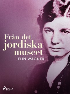 Cover Från det jordiska museet (eBook, ePUB)