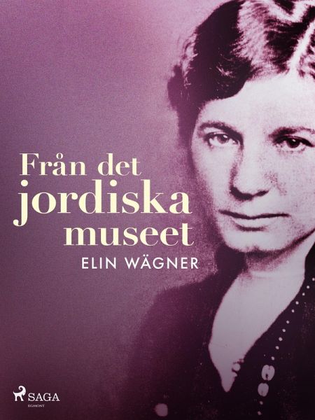 Från det jordiska museet (eBook, ePUB)