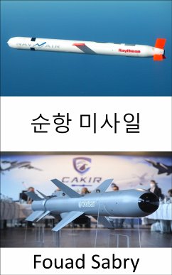 순항 미사일 (eBook, ePUB) - Sabry, Fouad