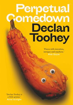 Perpetual Comedown (eBook, ePUB) - Toohey, Declan