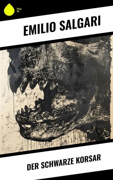 Der schwarze Korsar (eBook, ePUB)