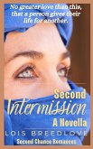 Second Intermission (Second Chance Romances, #4.5) (eBook, ePUB)