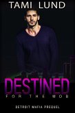 Destined for the Mob (Detroit Mafia Romance, #0.5) (eBook, ePUB)