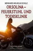 Orsolina - Feuerstuhl und Todesklinik - Ein Venedig-Krimi (eBook, ePUB)