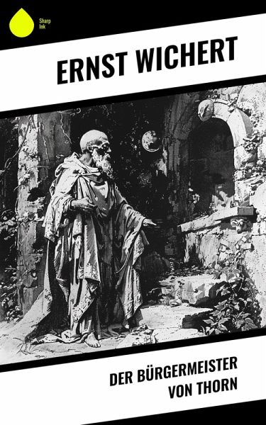 Der Bürgermeister von Thorn (eBook, ePUB)