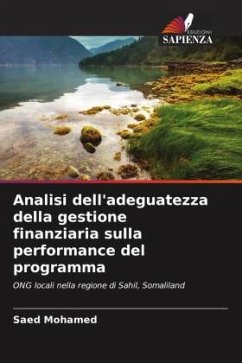 Analisi dell'adeguatezza della gestione finanziaria sulla performance del programma - Mohamed, Saed