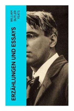 Erzählungen und Essays - Yeats, William Butler