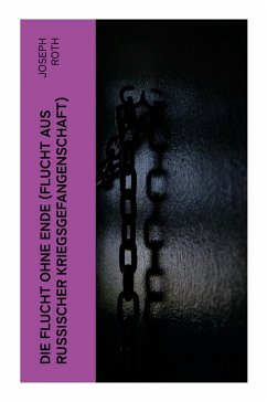 Cover Die Flucht ohne Ende (Flucht aus russischer Kriegsgefangenschaft)