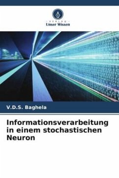 Cover Informationsverarbeitung in einem stochastischen Neuron