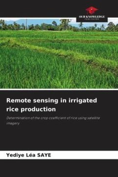 Remote sensing in irrigated rice production - SAYE, Yediye Léa