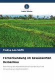 Fernerkundung im bewässerten Reisanbau