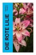 Die Rote Lilie - Bild 1