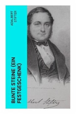 Bunte Steine (Ein Festgeschenk) - Stifter, Adalbert