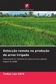 Detecção remota na produção de arroz irrigado