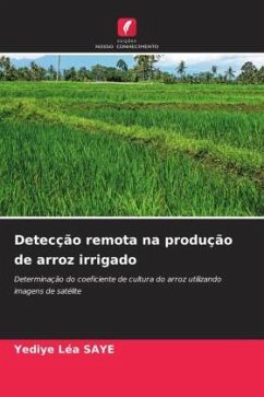 Detecção remota na produção de arroz irrigado - SAYE, Yediye Léa