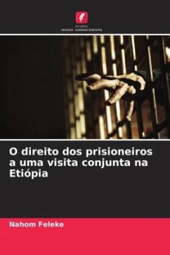 O direito dos prisioneiros a uma visita conjunta na Etiópia - Feleke, Nahom