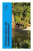 Pfisters Mühle: Ein Sommerferienheft