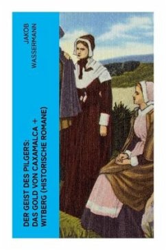 Der Geist des Pilgers: Das Gold von Caxamalca + Witberg (Historische Romane) - Wassermann, Jakob