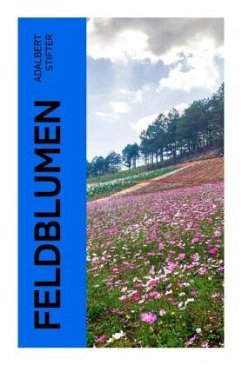 Feldblumen - Stifter, Adalbert