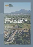 Edizione degli scavi nei Praedia di Iulia Felix e studi sulla Regio II di Pompei (eBook, PDF)