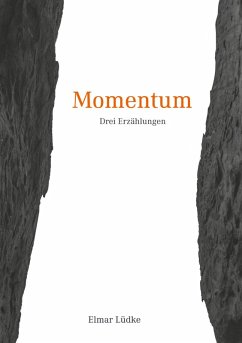 Momentum (eBook, ePUB) - Lüdke, Elmar