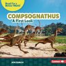 Compsognathus - Bild 1