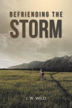 Befriending the Storm - Wild, J. W.