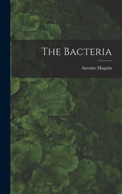 The Bacteria - Magnin, Antoine