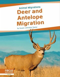 Deer and Antelope Migration - Johnston Taylor, Susan