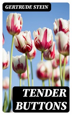 Cover Tender Buttons (eBook, ePUB)