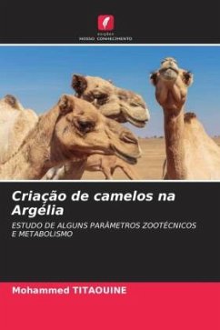 Criação de camelos na Argélia - Titaouine, Mohammed