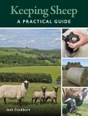 Keeping Sheep (eBook, ePUB)