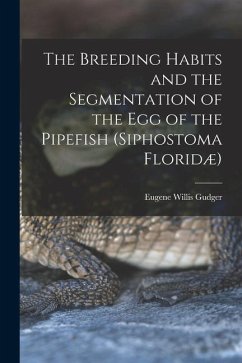 The Breeding Habits and the Segmentation of the egg of the Pipefish (Siphostoma Floridæ) - Gudger, Eugene Willis