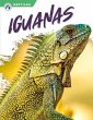 Iguanas - Bild 1
