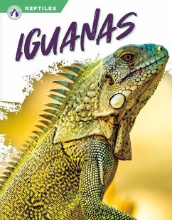 Iguanas - Jade, Shannon