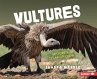Vultures - Bild 1